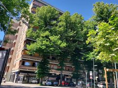 Attico/Mansarda in Residenziale