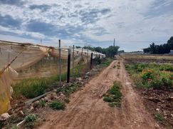 Terreno agricolo in Commerciale