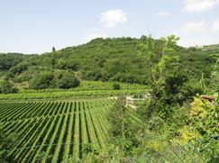 Rustico/Casale in Residenziale
