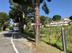 Terreno edificabile in Residenziale