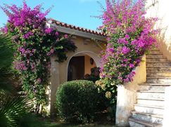 Villa in Residenziale