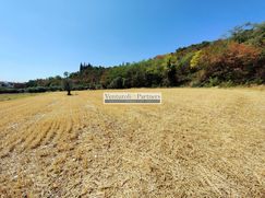 Terreno agricolo in Commerciale