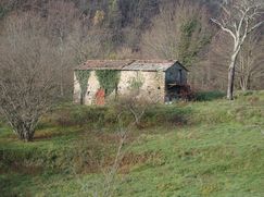 Rustico/Casale in Residenziale