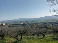 Terreno agricolo in Commerciale