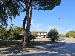 Negozio/Locale commerciale in Commerciale