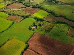 Terreno agricolo in Commerciale