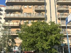 Cantina/Solaio in Residenziale