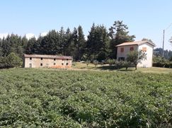 Rustico/Casale in Residenziale