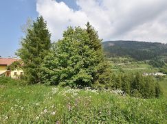 Terreno edificabile in Residenziale