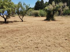 Terreno agricolo in Commerciale
