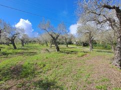 Terreno agricolo in Commerciale