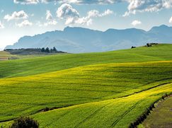 Terreno agricolo in Commerciale
