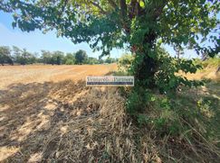 Terreno agricolo in Commerciale