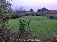 Terreno edificabile in Residenziale