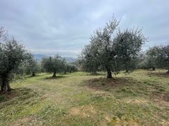 Terreno agricolo in Commerciale