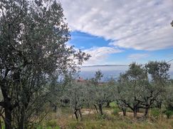 Terreno agricolo in Commerciale