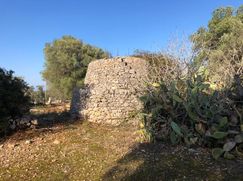 Terreno edificabile in Residenziale