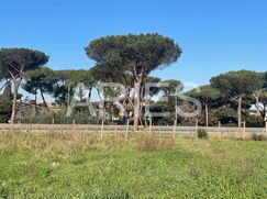 Terreno agricolo in Commerciale
