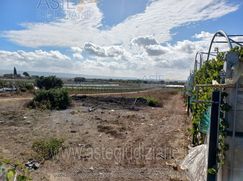 Terreno agricolo in Commerciale