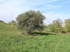 Terreno edificabile in Residenziale