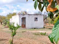 Rustico/Casale in Residenziale