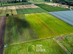 Terreno agricolo in Commerciale