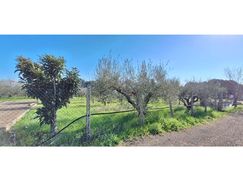 Terreno agricolo in Commerciale