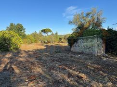 Cantina/Solaio in Residenziale