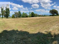 Terreno agricolo in Commerciale