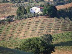 Rustico/Casale in Residenziale