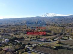 Terreno agricolo in Commerciale