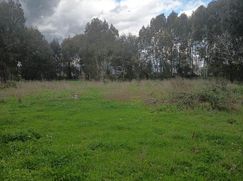 Terreno agricolo in Commerciale