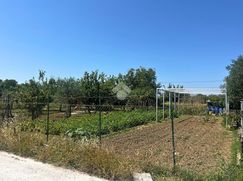 Terreno agricolo in Commerciale