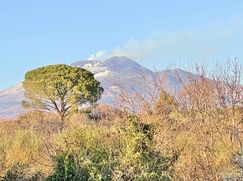 Terreno agricolo in Commerciale