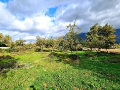 Terreno agricolo in Commerciale