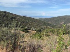 Terreno edificabile in Residenziale