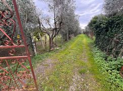 Terreno agricolo in Commerciale