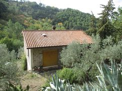 Terreno agricolo in Commerciale