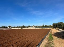 Terreno edificabile in Residenziale