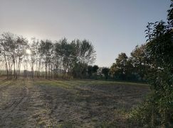 Terreno edificabile in Residenziale