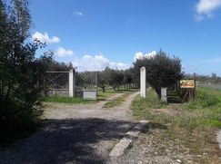 Terreno edificabile in Residenziale