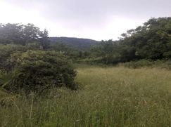 Terreno agricolo in Commerciale