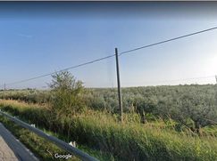 Terreno agricolo in Commerciale