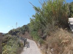 Terreno agricolo in Commerciale