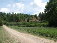 Terreno edificabile in Residenziale