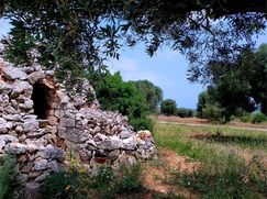Terreno edificabile in Residenziale