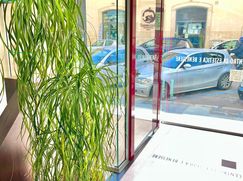 Attività/Licenza (con o senza mura) in Commerciale