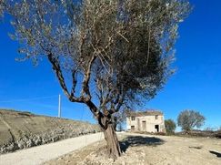 Rustico/Casale in Residenziale