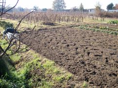 Terreno agricolo in Commerciale