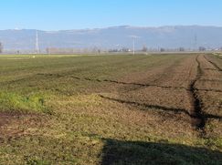 Terreno edificabile in Residenziale